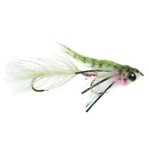 Baby Gonga Rainbow - Mossy Creek Fly Fishing